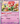 Pokemon Card “Florges” 038/066 sv5a Korean Ver (U)